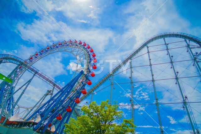 観覧車とジェットコースター