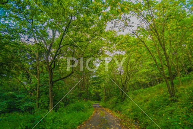 北海道の草原のイメージ