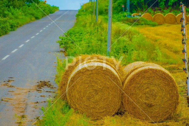 北海道の草原のイメージ