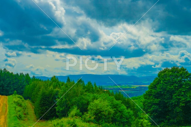 北海道富良野の平原