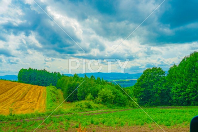 北海道富良野の平原