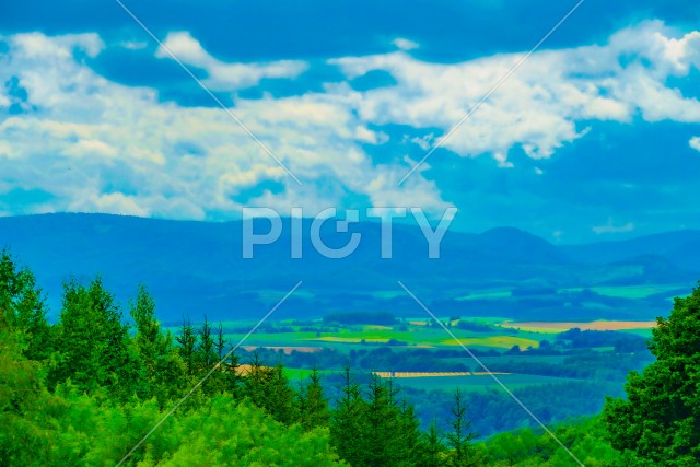 北海道富良野の平原