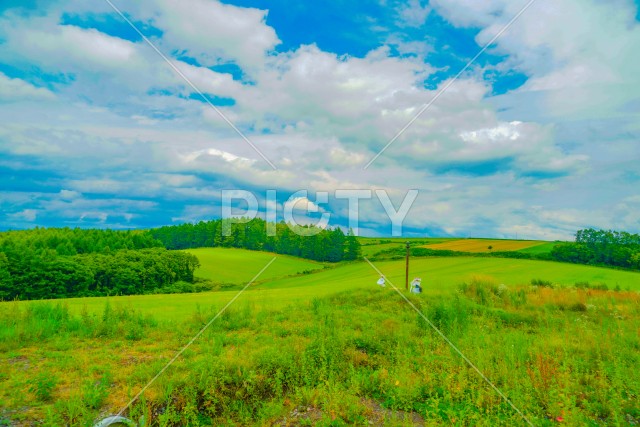 北海道富良野の平原