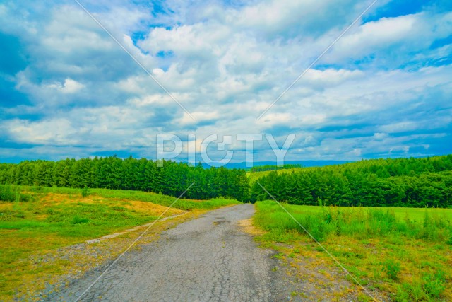 写真のタイトルが入ります