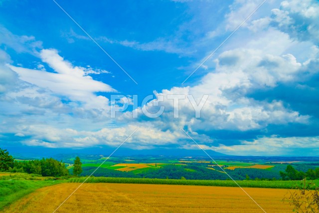 北海道富良野の平原