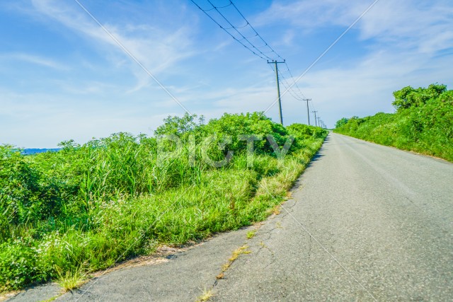 秋田の田園風景