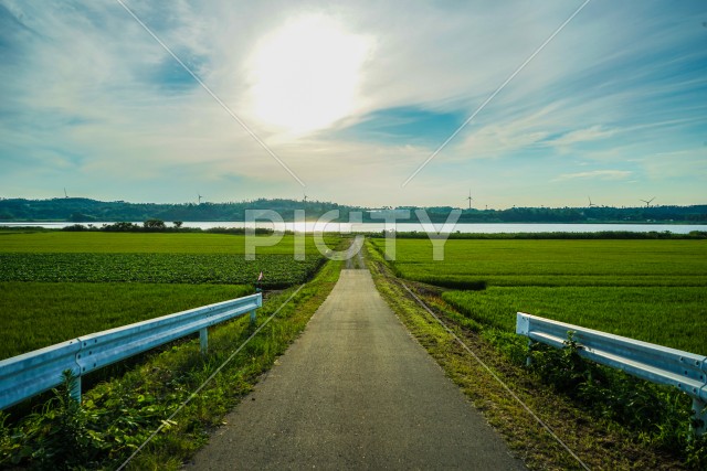 秋田の田園風景