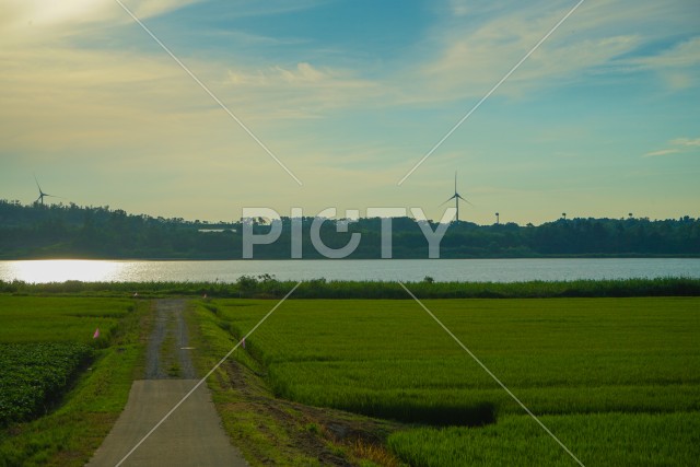 秋田の田園風景