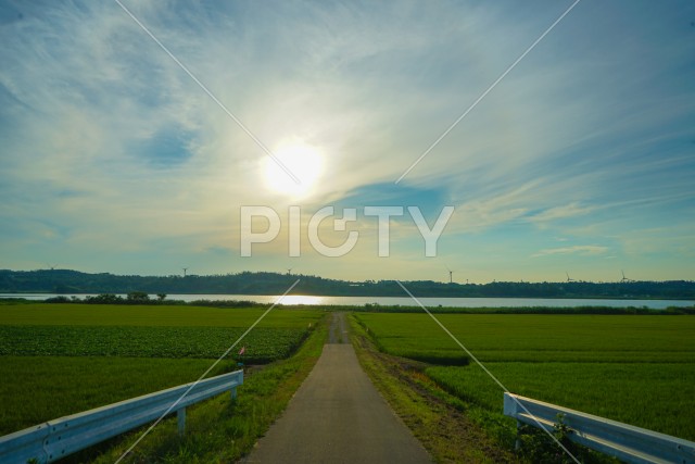 秋田の田園風景