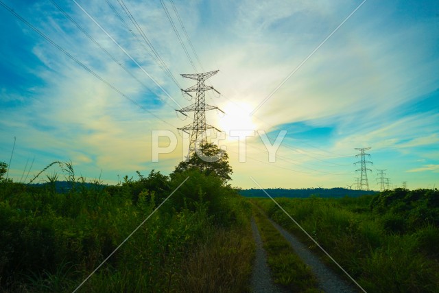 写真のタイトルが入ります