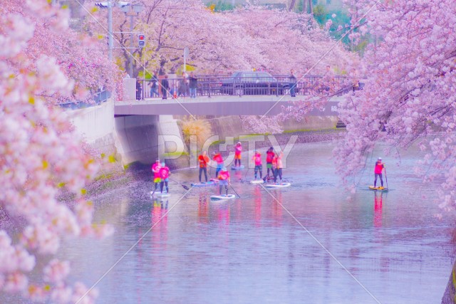 写真のタイトルが入ります