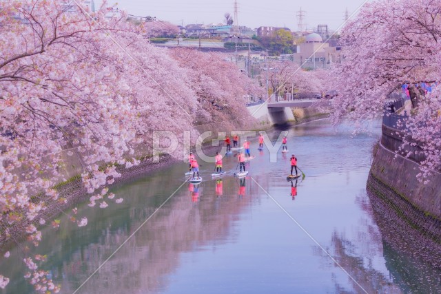 写真のタイトルが入ります