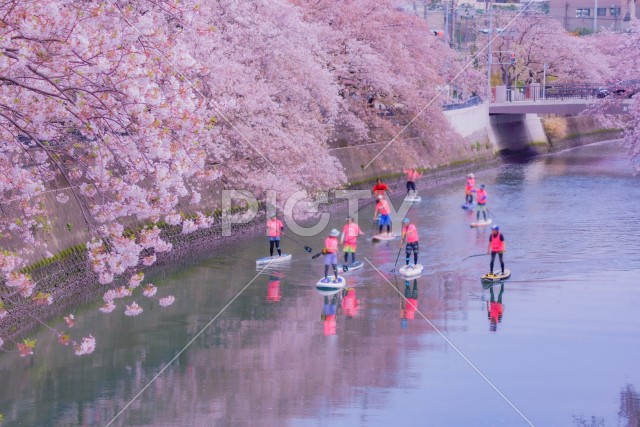 写真のタイトルが入ります