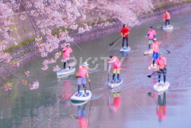 SUP（スタンドアップパドルボード）大岡川