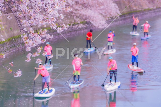 SUP（スタンドアップパドルボード）大岡川