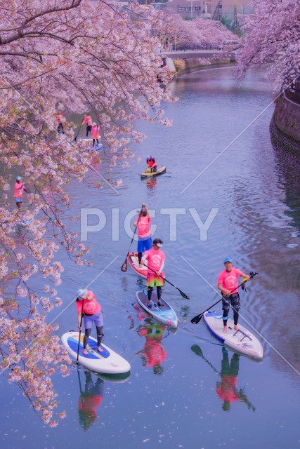 SUP（スタンドアップパドルボード）大岡川