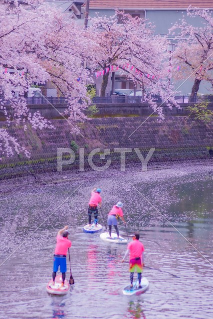 写真のタイトルが入ります