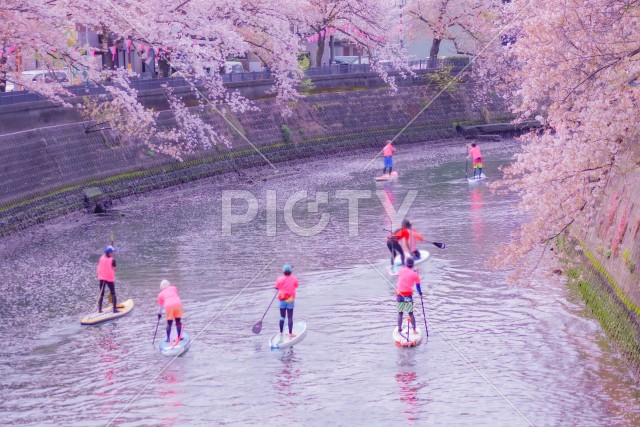 写真のタイトルが入ります