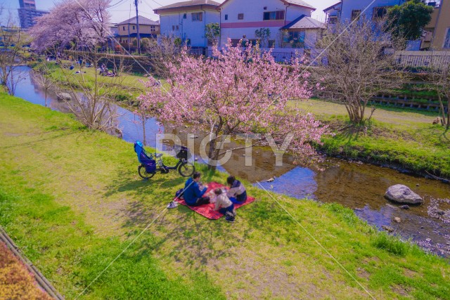 写真のタイトルが入ります