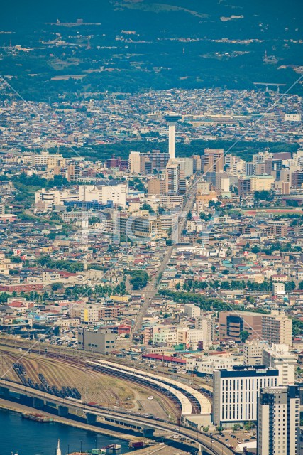 写真のタイトルが入ります