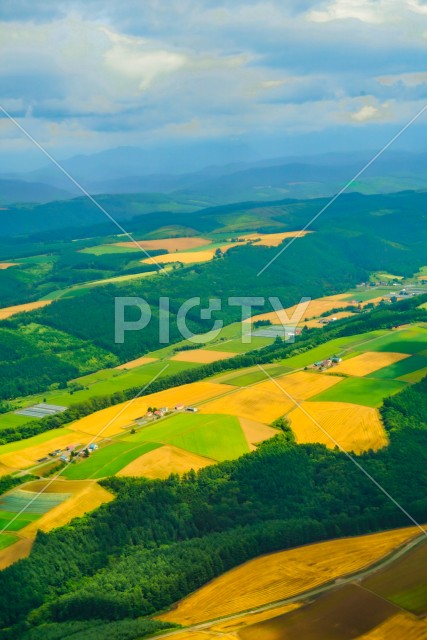 北海道旭川の大地