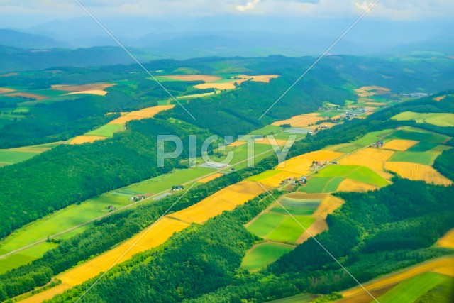 北海道旭川の大地