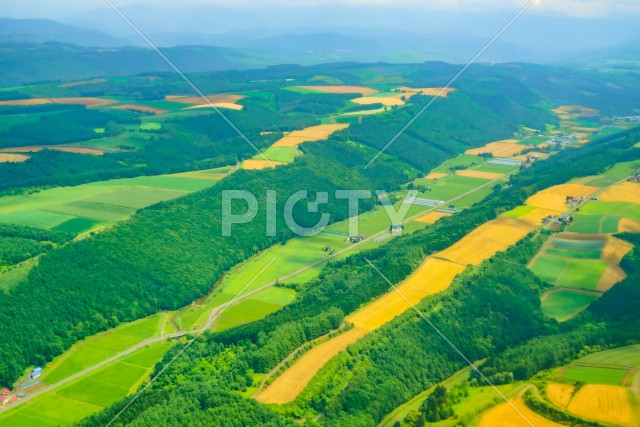 写真のタイトルが入ります