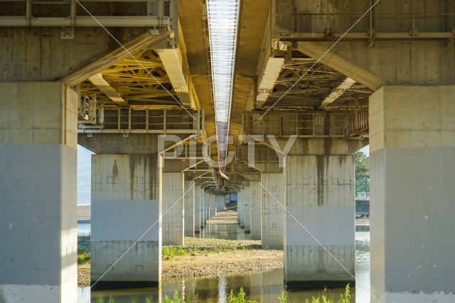 写真のタイトルが入ります