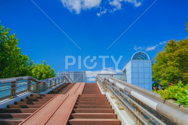 東京都江東区の街並み