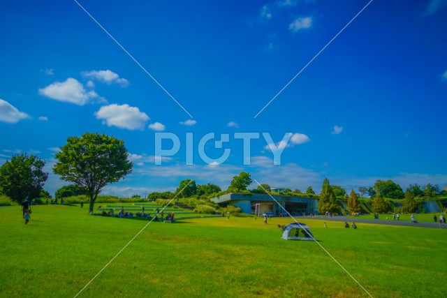 新緑に包まれた公園