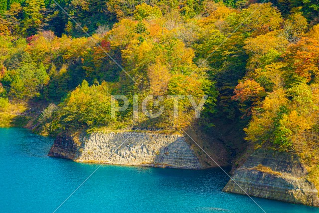 写真のタイトルが入ります