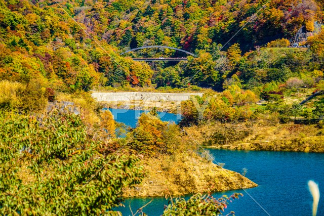 写真のタイトルが入ります