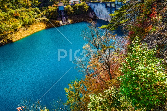 写真のタイトルが入ります