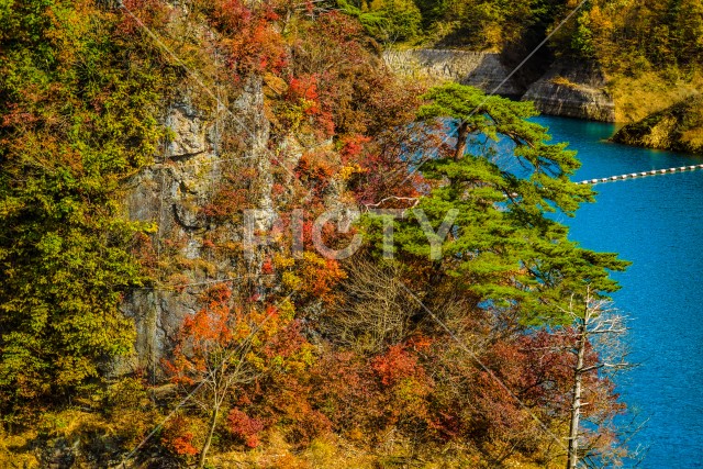 写真のタイトルが入ります