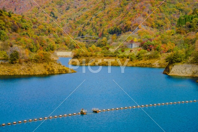 写真のタイトルが入ります