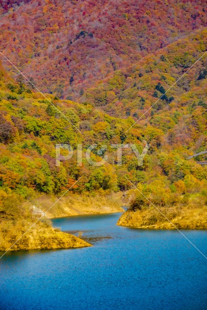 奥四万の紅葉