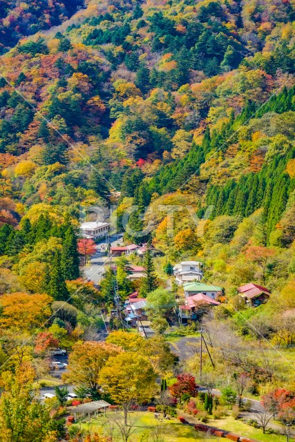 奥四万の山間の集落