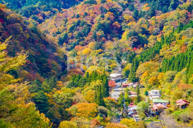 奥四万の山間の集落