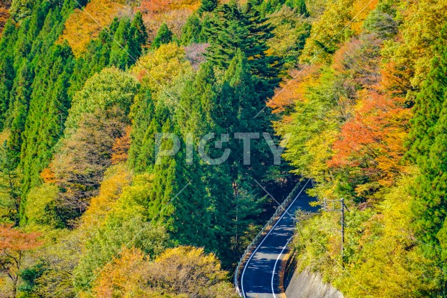 奥四万の山間の集落