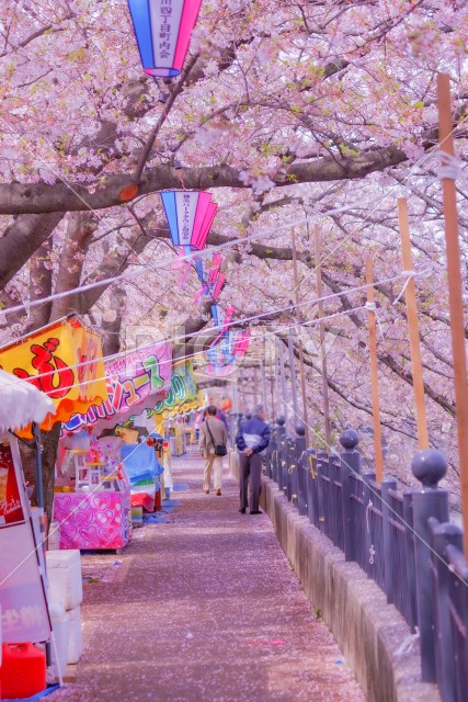 写真のタイトルが入ります