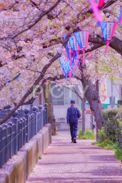 写真のタイトルが入ります