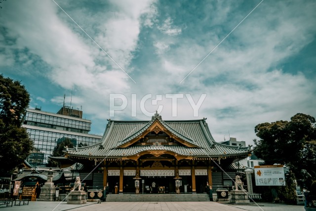 写真のタイトルが入ります