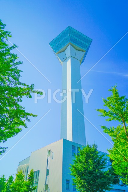 五稜郭タワーと青空