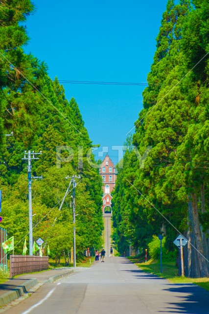 写真のタイトルが入ります