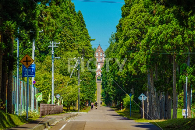 写真のタイトルが入ります