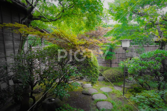 日本家屋の縁側から見える風景