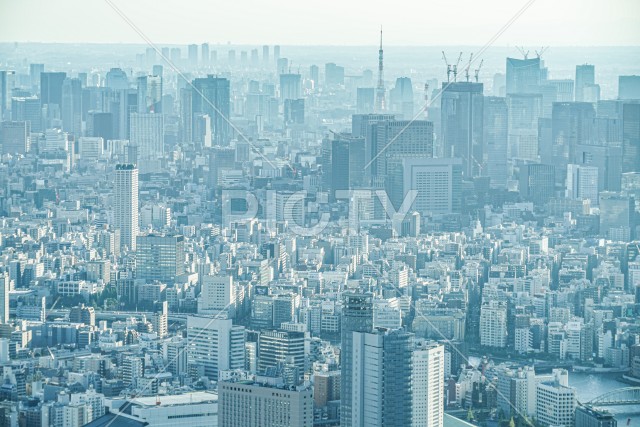 東京都中心部のビル群