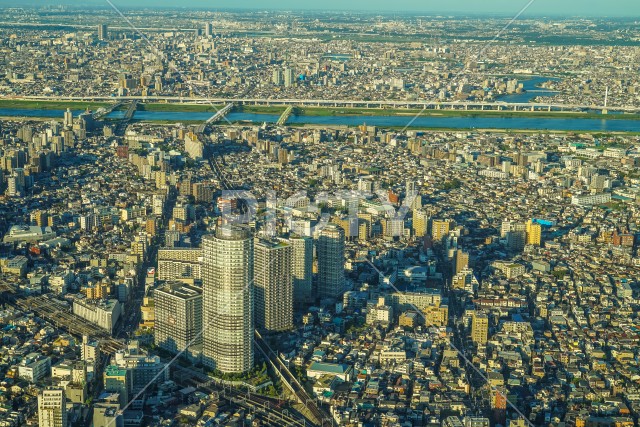 隅田川と東京の街並み