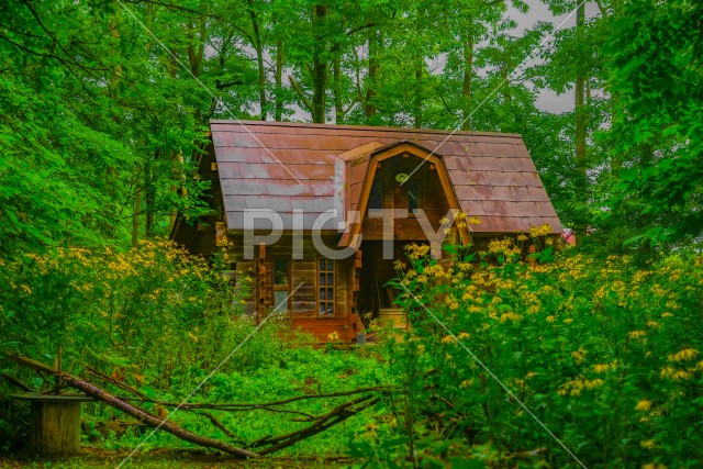 森の中の小屋