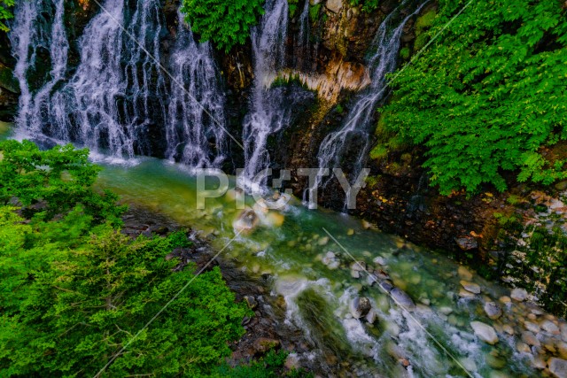 写真のタイトルが入ります